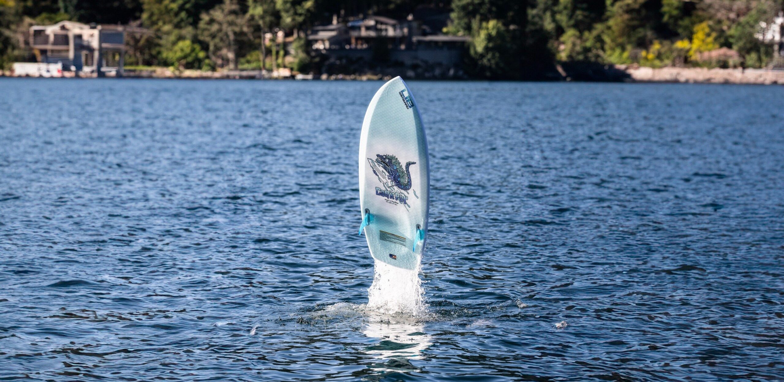 Lib Tech Sales Shop -Lib Tech Sales Shop 441901754 868592915297889 7435062349393474745 n scaled